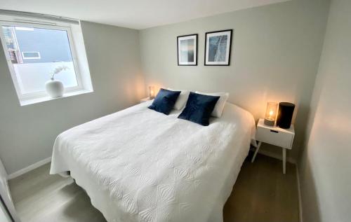特罗姆瑟Two bedroom apartment near the city centre.的卧室配有白色床、蓝色枕头和窗户