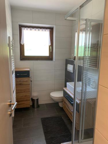 卡奇山口Katschi Lodge的一间带卫生间、水槽和窗户的浴室