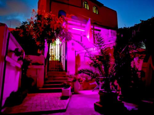 康斯坦察Casa Fotografului的建筑的侧面有粉红色的灯
