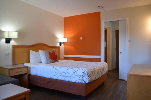 卡斯尔加Canadas Best Value Inn & Suites-Castlegar的一间卧室配有一张橙色墙壁的床