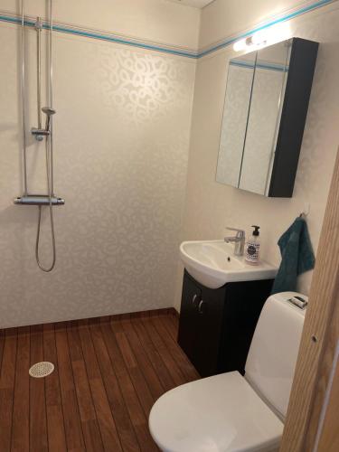 斯卡拉Katthagen的浴室配有卫生间、盥洗盆和淋浴。