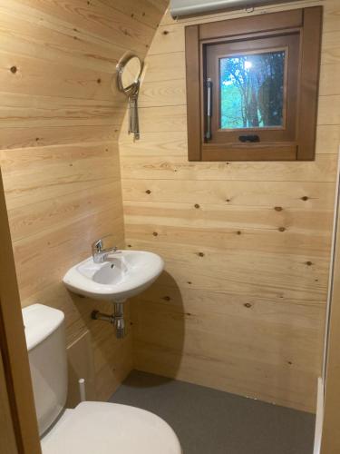 萨里亚Camping Vila de Sarria的一间带卫生间和水槽的小浴室