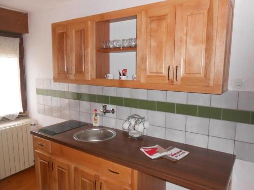 莫克拉戈拉Apartman Draga的一个带水槽和木橱柜的厨房