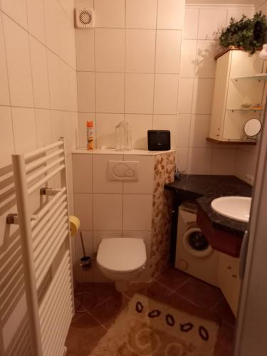 巴德米滕多夫Apartment Kleine Auszeit的一间带卫生间和水槽的小浴室