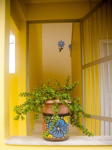 科曼达图巴岛Pousada Pau Brasil的坐在窗台上的盆子中的植物