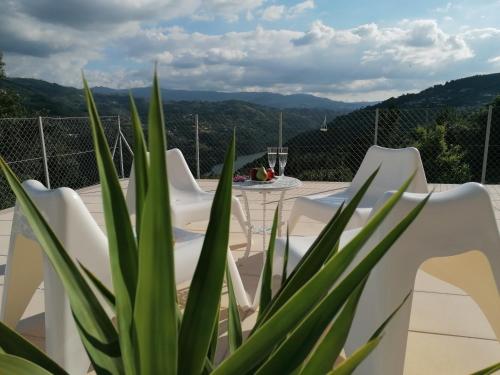 拜昂Casa Douro Terrace的庭院配有白色的椅子、桌子和植物