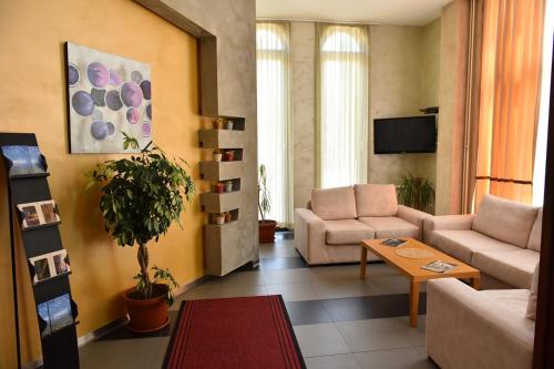 尼克希奇瓦科夫莫斯特酒店的客厅配有两张沙发和一台电视机
