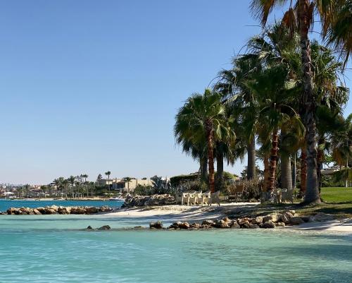 阿莱曼Marina Resort New Alamein By Seven Seasons的棕榈树和椅子的海滩和大海