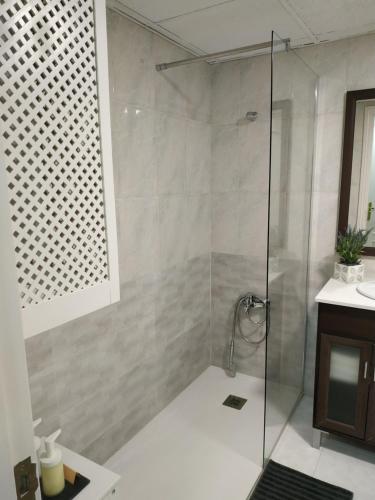 马拉加Apartamento Miramar的浴室里设有玻璃门淋浴