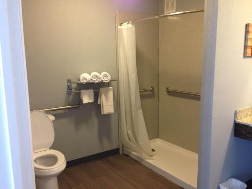 默夫里斯伯勒Safari Inn - Murfreesboro的一间带卫生间和淋浴的浴室