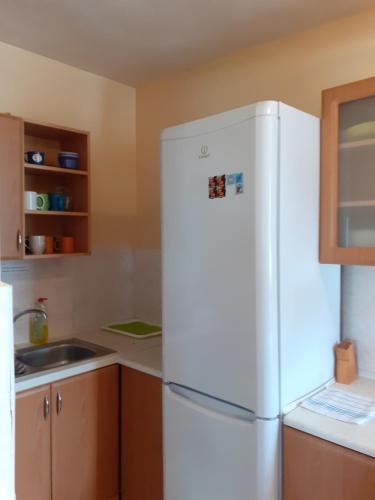 赫拉布斯Privát Čujová的厨房配有白色冰箱和水槽