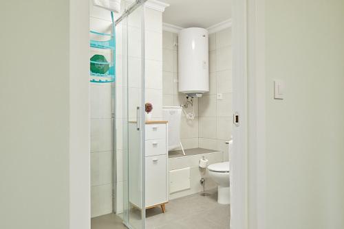 帕德隆A Casa Antiga do Monte Apartamentos Turísticos - Lestrove的白色的浴室设有卫生间和淋浴。