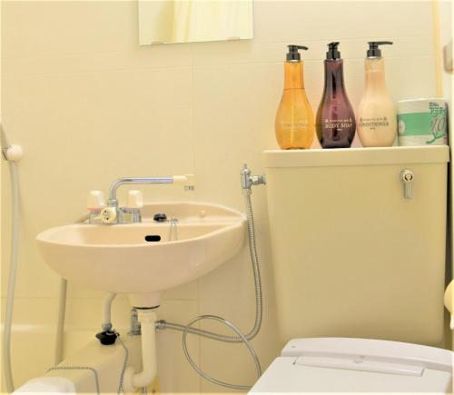 大阪Kamiyama Mansion - Vacation STAY 11596的浴室设有水槽和架子上的瓶子