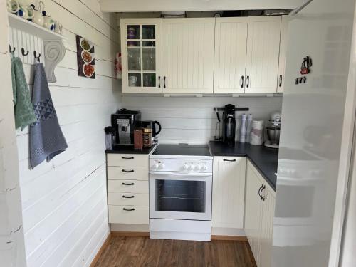 阿克拉内斯Icelandic Lake House的厨房配有白色橱柜和白色炉灶烤箱。