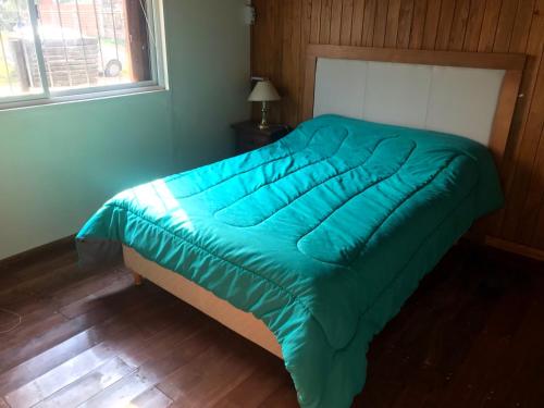 圣佩德罗Quinta El Molino的卧室内的一张带绿色棉被的床