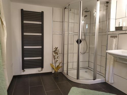 SpabrückenFerienwohnung zur Töpferstube的带淋浴和盥洗盆的浴室