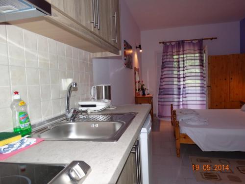 维塔拉戴斯安特塔别墅旅馆的厨房配有水槽和冰箱