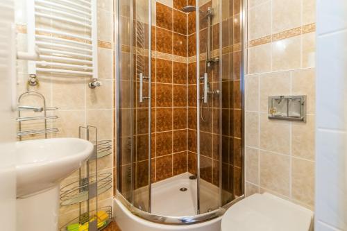 科沃布热格Pokoje goscinne的带淋浴、卫生间和盥洗盆的浴室