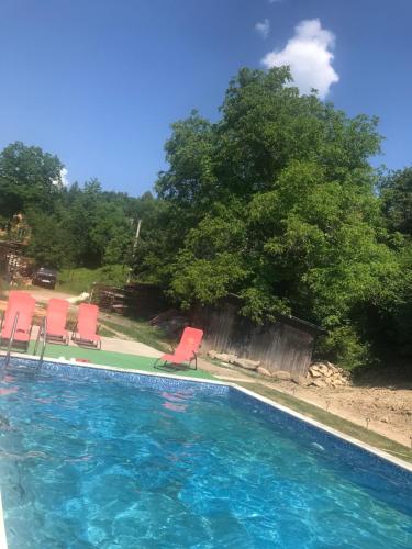 亚列姆切霍万卡酒店的一个带红色椅子和树木的游泳池