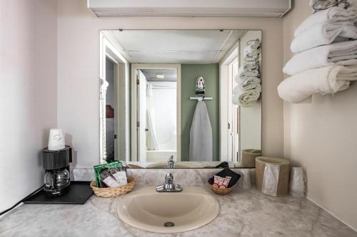 布兰森OYO Hotel Windmill Branson的一间带水槽和大镜子的浴室