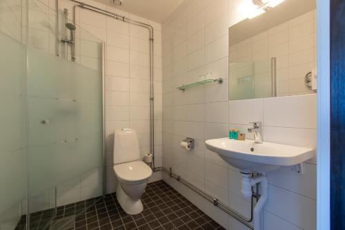 乌尔里瑟港Hotell Nyboholm的浴室配有卫生间、盥洗盆和淋浴。