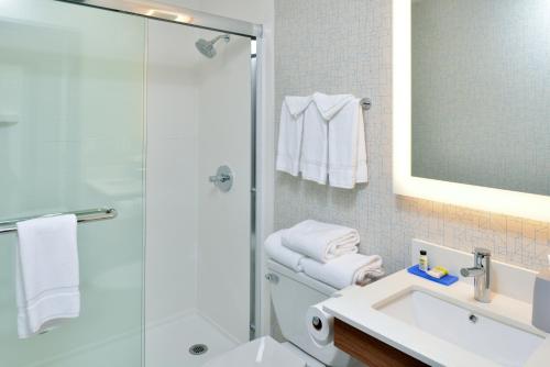 圣罗莎Holiday Inn Express - Santa Rosa North, an IHG Hotel的带淋浴、卫生间和盥洗盆的浴室