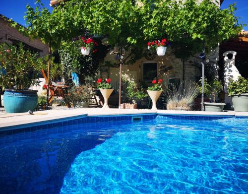LimalongesLa Maison Verger的拥有盆栽植物和树木的蓝色游泳池