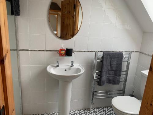 阿基尔Wild Atlantic Way House的一间带水槽、镜子和卫生间的浴室
