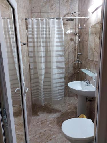 科斯蒂内什蒂Vila Aren的带淋浴、卫生间和盥洗盆的浴室