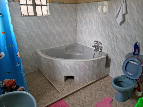 奈瓦沙Weavers Haven的带浴缸和卫生间的浴室。