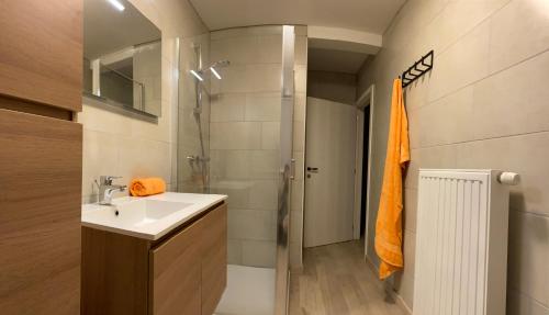 vakantiehuis zoetendaal的一间浴室