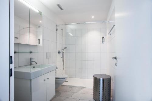 ChamCITY STAY - Zugerstrasse的白色的浴室设有水槽和卫生间。