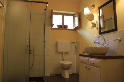 斯雷姆斯基卡尔洛夫奇Apartman Brankova kuća的浴室配有卫生间、盥洗盆和淋浴。