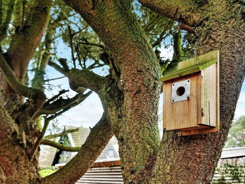 特雷勒堡5 person holiday home in TRELLEBORG的木鸟屋,坐在树边