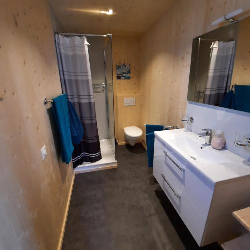 Sils im DomleschgAktien 11 / A=obere Wohnung / B=untere Wohnung的一间带水槽、淋浴和卫生间的浴室