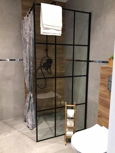 乌斯特卡Apartament pod Jaskółką的浴室里设有玻璃门淋浴