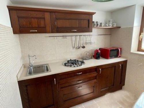 普蒂尼亚诺Trullo Bianco的厨房配有木制橱柜、水槽和微波炉