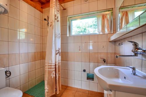 下乌斯奇基Domki nad Stebnikiem的一间带水槽和淋浴的浴室