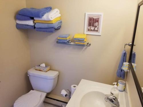 巴德克St Ann's Motel & Cottage的浴室配有卫生间、水槽和毛巾。