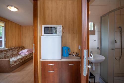 博茨科沃Ow Oliwia的一间配备了冰箱上方微波炉的小浴室