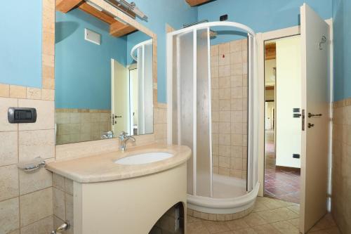 阿尔巴Cascina Giuli的一间带水槽和淋浴的浴室