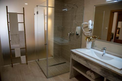 马塞杜-迪卡瓦莱鲁什Hotel Marisol的一间带玻璃淋浴和水槽的浴室