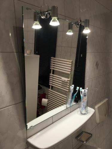 ZschopauAuf der Zschopau-Insel的浴室设有镜子和带牙刷的盥洗盆