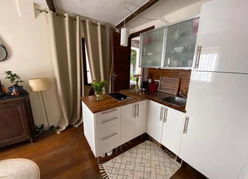 昂蒂布Studio au cœur du Vieil Antibes的厨房配有白色橱柜和水槽