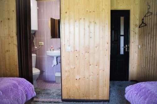 韦尔霍维纳Стежка в гори的一间带木门和水槽的浴室