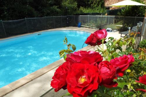 BoisseuilhCamping Belle Vue的一组红色玫瑰,在游泳池旁边