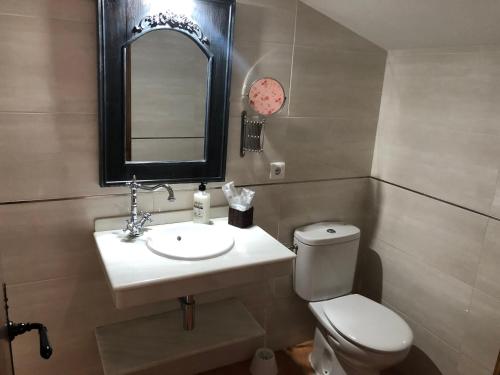 马尔帕尔蒂达德卡塞雷斯Hostal La Caballeriza的一间带水槽、卫生间和镜子的浴室