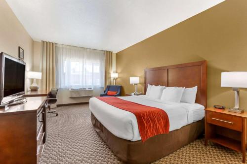 佩森佩森康福特因酒店的配有一张床和一台平面电视的酒店客房