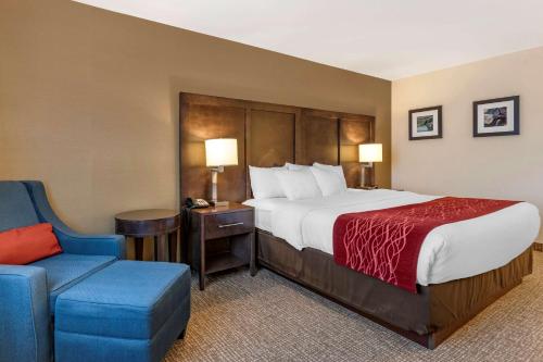 威廉波特威廉波特康福特茵酒店的酒店客房,配有一张床和一张蓝色椅子