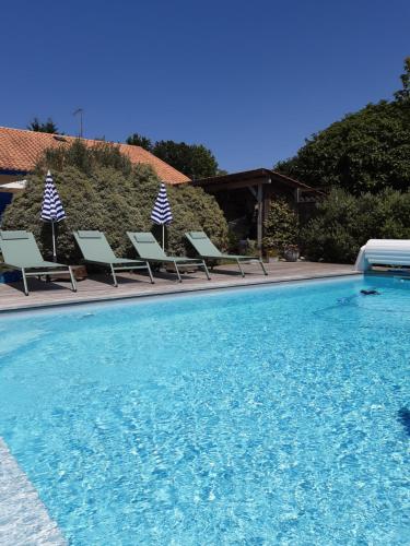 萨莱Maison d'Amis的一个带躺椅的游泳池和一个游泳池